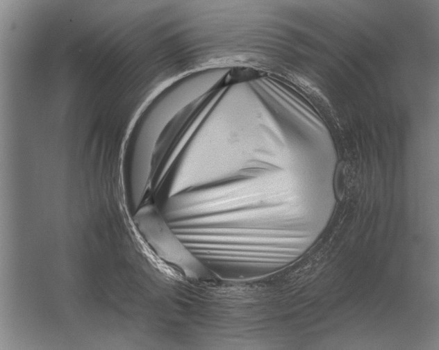 X0000062170792200512301644