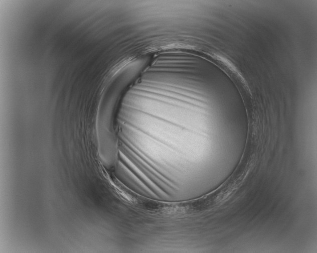 X0000062170793200512301644