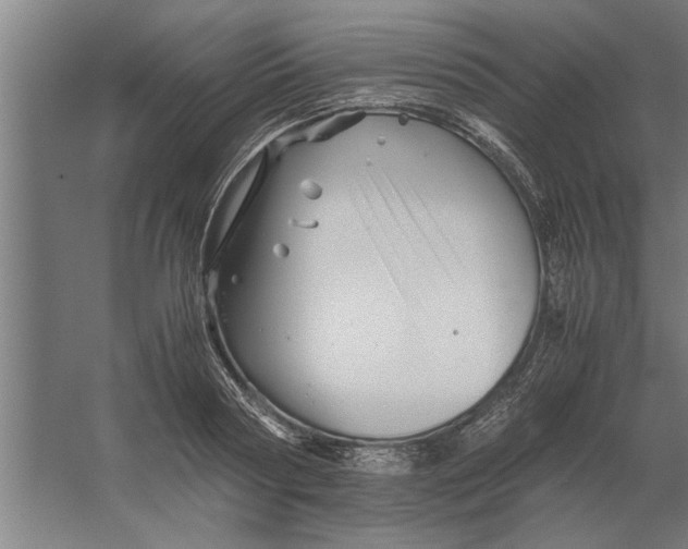 X0000062170794200512301644