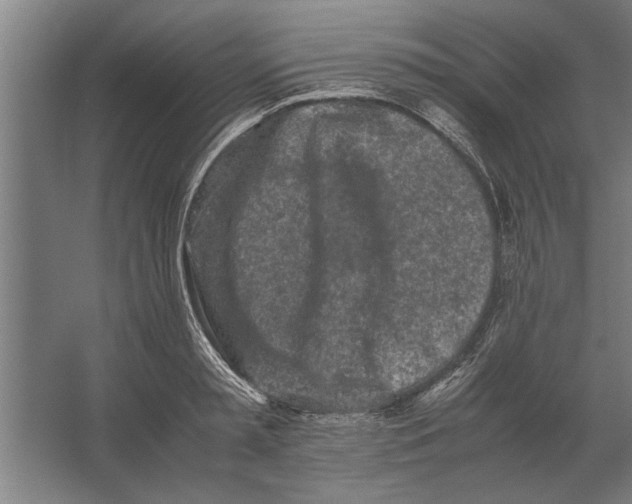 X0000062170797200512301644