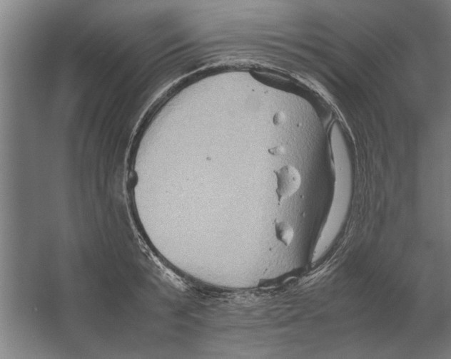 X0000062170799200512301644