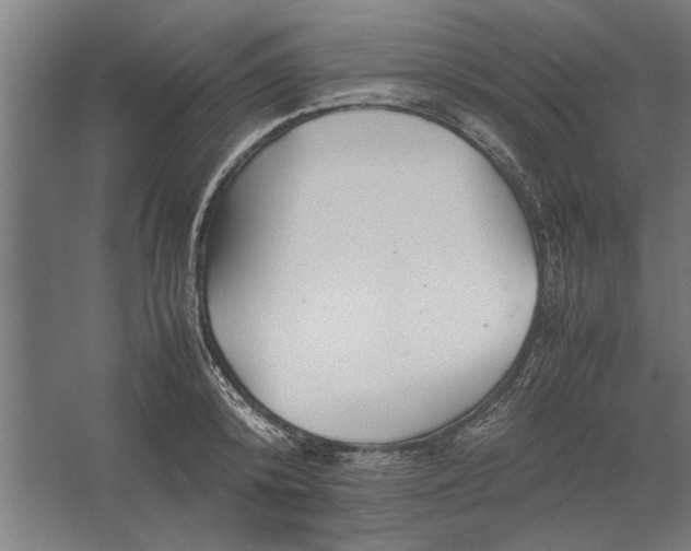 X0000062170800200512301644