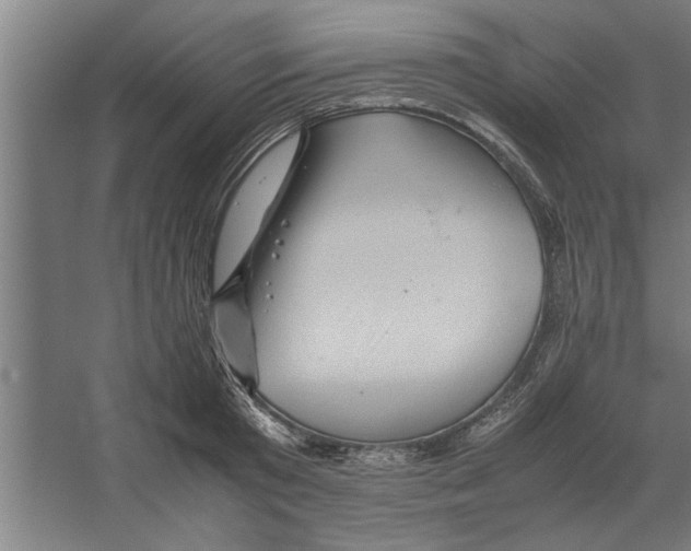 X0000062170801200512301644