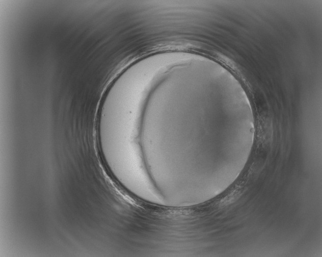 X0000062170802200512301644