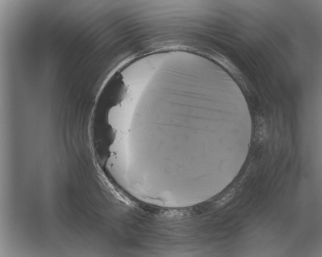 X0000062170806200512301644