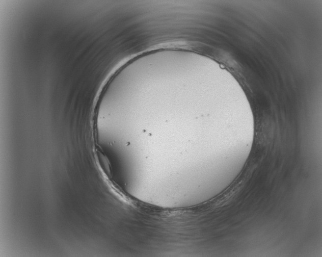 X0000062170808200512301644