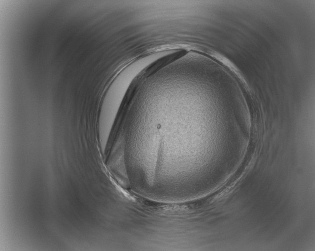 X0000062170809200512301644