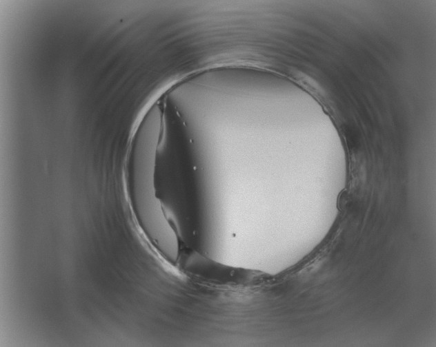 X0000062170812200512301644