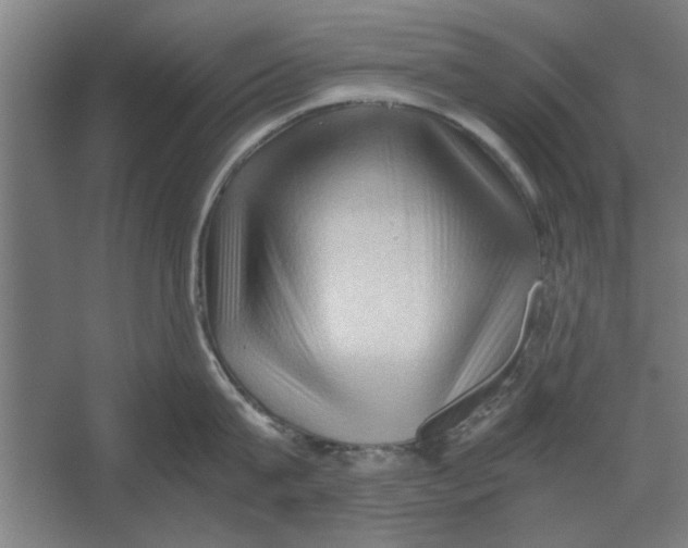 X0000062170815200512301643