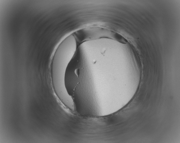 X0000062170816200512301643