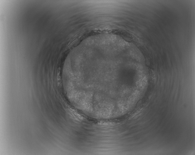 X0000062170818200512301643