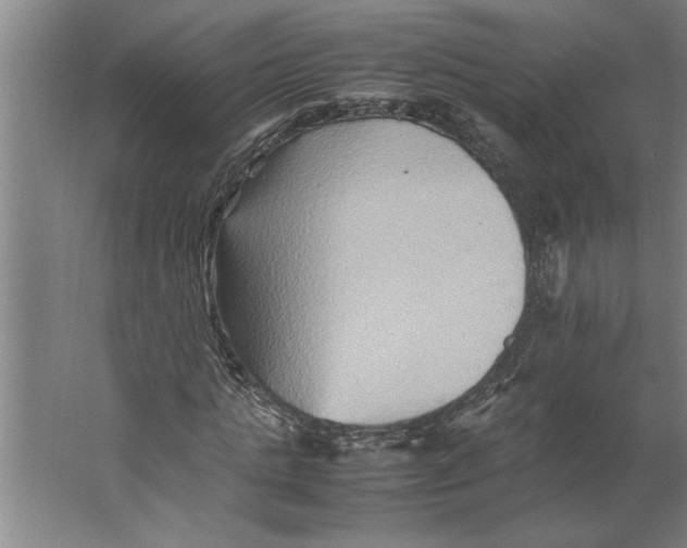 X0000062170821200512301643