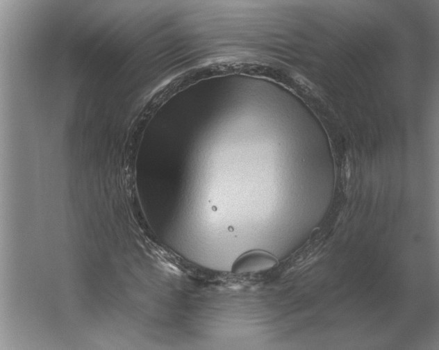 X0000062170822200512301643