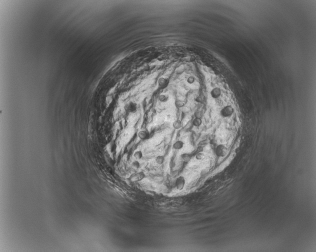 X0000062170823200512301643