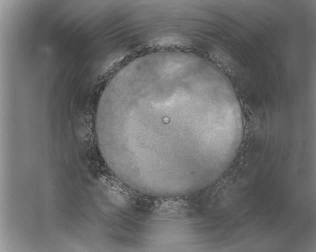 X0000062170824200512301643