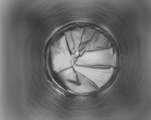 X0000062170829200512301643