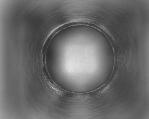 X0000062170830200512301643