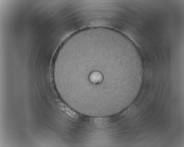 X0000062170832200512301643