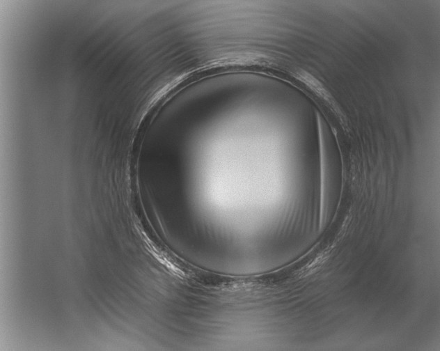 X0000062170834200512301643