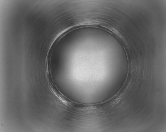 X0000062170838200512301643