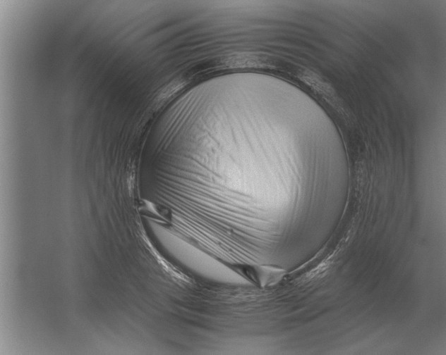 X0000062170841200512301643