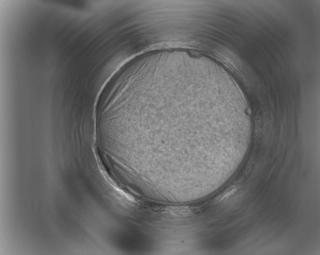 X0000062170844200512301643