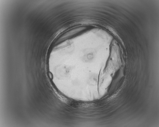 X0000062170845200512301643