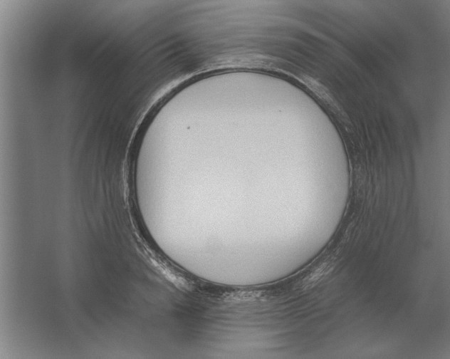 X0000062170846200512301643