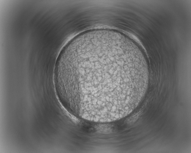 X0000062170847200512301643