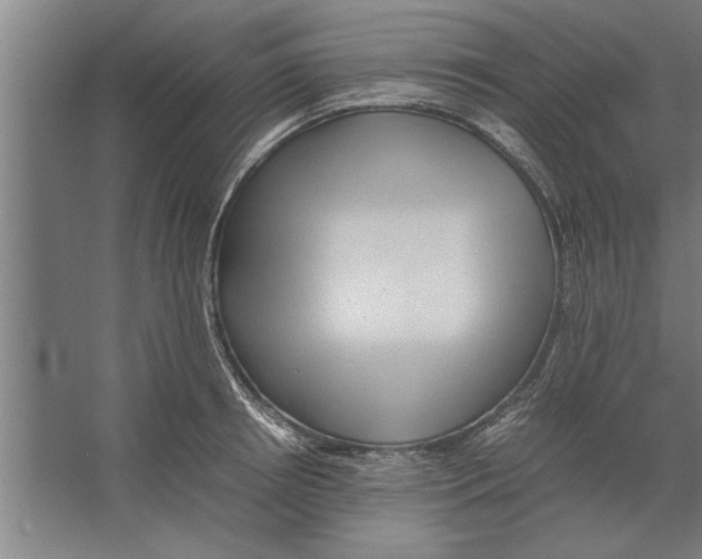 X0000062170850200512301643