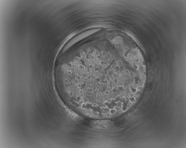 X0000062170853200512301643