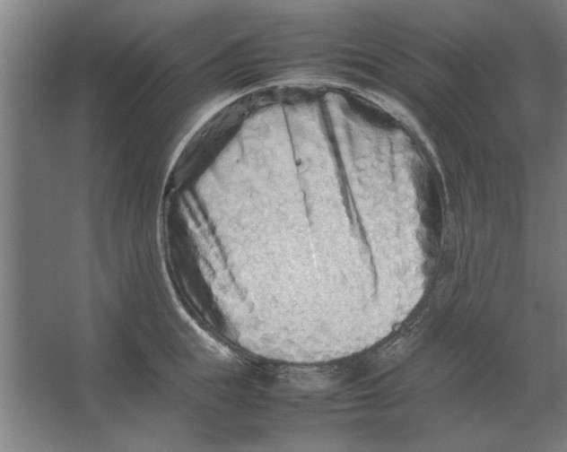 X0000062170855200512301643