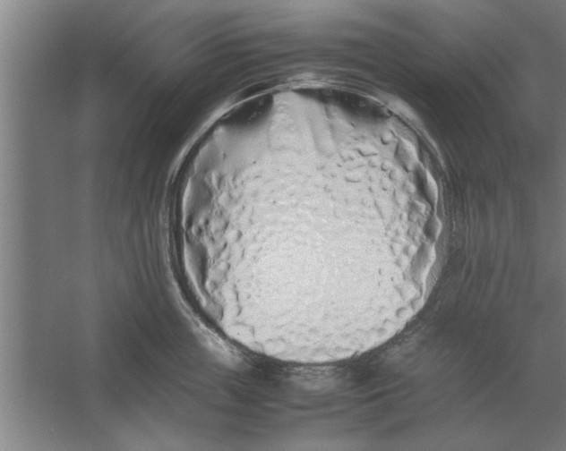 X0000062170859200512301643