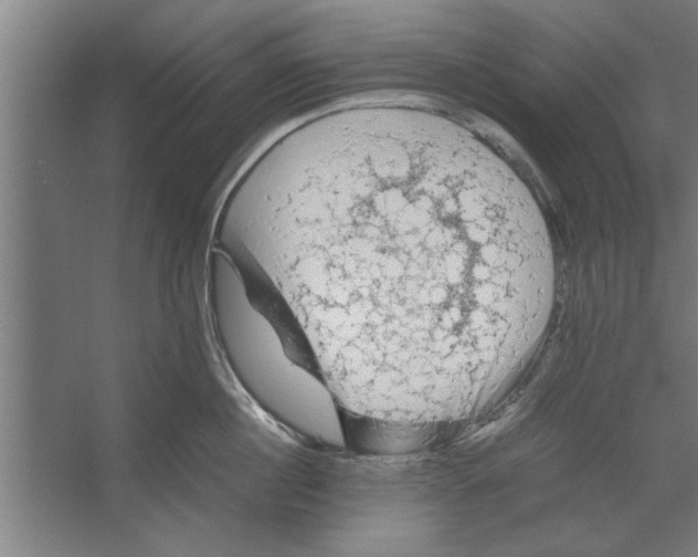 X0000062170860200512301643