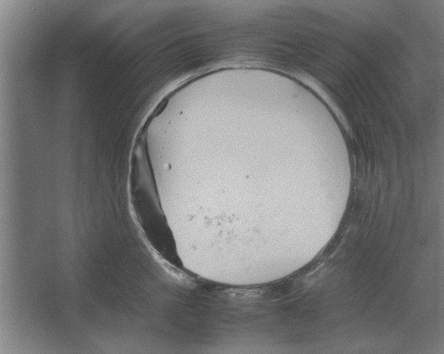 X0000062170861200512301643