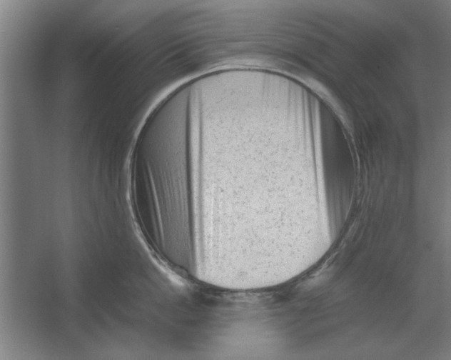 X0000062170862200512301643