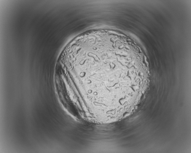 X0000062170863200512301643