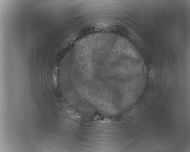 X0000062170868200512301643