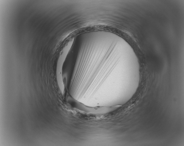 X0000062170871200512301643