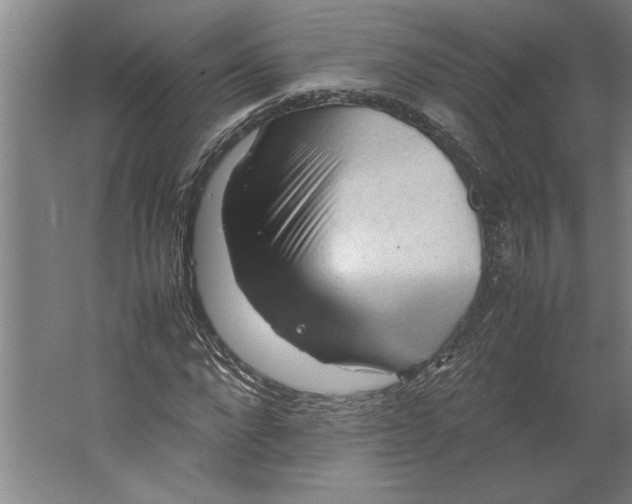 X0000062170872200512301642