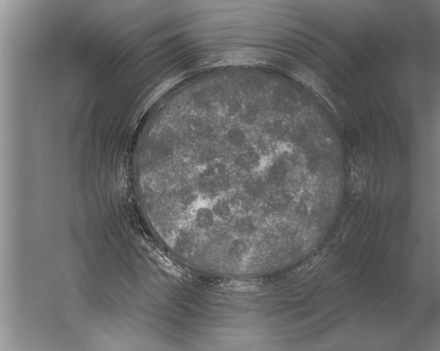 X0000062170874200512301642