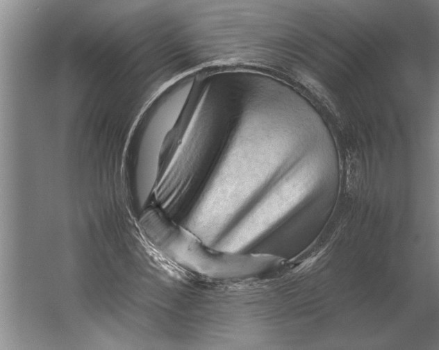 X0000062170876200512301642