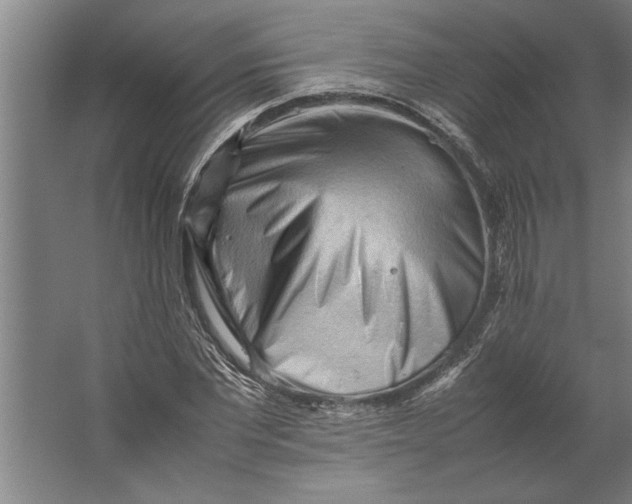 X0000062170877200512301642