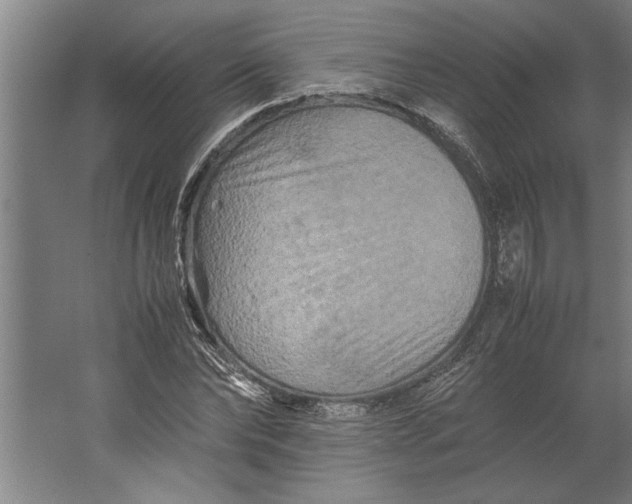 X0000062170878200512301642