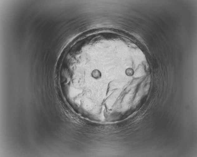 X0000062170879200512301642