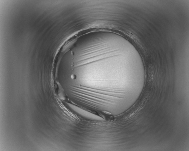 X0000062170880200512301642