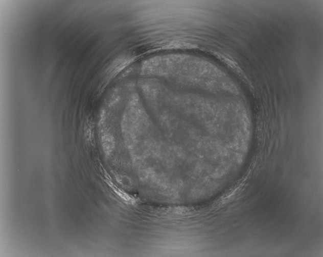 X0000062170881200512301642