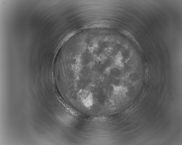 X0000062170882200512301642