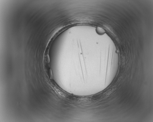 X0000062170883200512301642