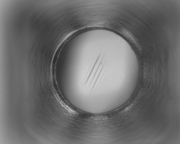 X0000062170884200512301642